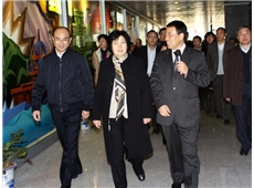 On December 17, 2010, Sun Chunlan visited Shenzhen Huaqiang Holdings Ltd.